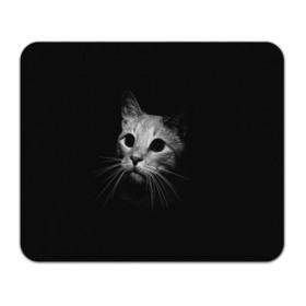 Коврик для мышки прямоугольный с принтом Кошачья морда , натуральный каучук | размер 230 х 185 мм; запечатка лицевой стороны | кот | кошка | темнота