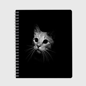 Тетрадь с принтом Кошачья морда , 100% бумага | 48 листов, плотность листов — 60 г/м2, плотность картонной обложки — 250 г/м2. Листы скреплены сбоку удобной пружинной спиралью. Уголки страниц и обложки скругленные. Цвет линий — светло-серый
 | Тематика изображения на принте: кот | кошка | темнота