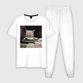 Мужская пижама хлопок с принтом мемная картинка с котом , 100% хлопок | брюки и футболка прямого кроя, без карманов, на брюках мягкая резинка на поясе и по низу штанин
 | кот | котэ | кошка | мем | прикол | фотография