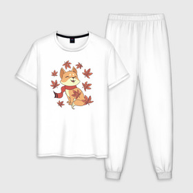 Мужская пижама хлопок с принтом Милая Лисичка , 100% хлопок | брюки и футболка прямого кроя, без карманов, на брюках мягкая резинка на поясе и по низу штанин
 | autumn | cat | fall | fox | foxy | кот | кошка | лис | лиса | лисица | лисичка | лисы | осень