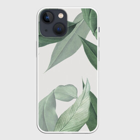 Чехол для iPhone 13 mini с принтом Из тропиков ,  |  | Тематика изображения на принте: branch | foliage | leafy | nature | ветка | веточка | зеленый | лист | листочки | листья | природа | черный