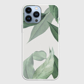 Чехол для iPhone 13 Pro Max с принтом Из тропиков ,  |  | Тематика изображения на принте: branch | foliage | leafy | nature | ветка | веточка | зеленый | лист | листочки | листья | природа | черный