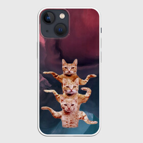 Чехол для iPhone 13 mini с принтом Танцующие коты ,  |  | Тематика изображения на принте: cats | забавный | котики | коты | мем | прикол | смешная | танцующие коты