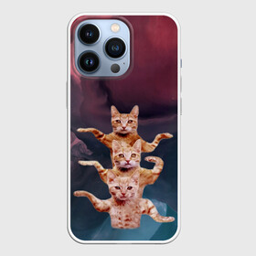 Чехол для iPhone 13 Pro с принтом Танцующие коты ,  |  | Тематика изображения на принте: cats | забавный | котики | коты | мем | прикол | смешная | танцующие коты