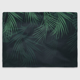 Плед 3D с принтом Пальмовый узор , 100% полиэстер | закругленные углы, все края обработаны. Ткань не мнется и не растягивается | джунгли | зелёный | лепестки | лепесток | лес | листья | пальма | пальмы | папоротник | салатовый | тропики | черный