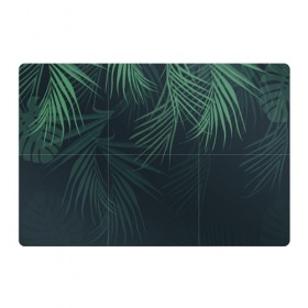 Магнитный плакат 3Х2 с принтом Пальмовый узор , Полимерный материал с магнитным слоем | 6 деталей размером 9*9 см | джунгли | зелёный | лепестки | лепесток | лес | листья | пальма | пальмы | папоротник | салатовый | тропики | черный
