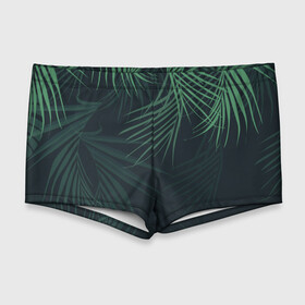 Мужские купальные плавки 3D с принтом Пальмовый узор , Полиэстер 85%, Спандекс 15% |  | джунгли | зелёный | лепестки | лепесток | лес | листья | пальма | пальмы | папоротник | салатовый | тропики | черный