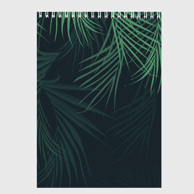 Скетчбук с принтом Пальмовый узор , 100% бумага
 | 48 листов, плотность листов — 100 г/м2, плотность картонной обложки — 250 г/м2. Листы скреплены сверху удобной пружинной спиралью | джунгли | зелёный | лепестки | лепесток | лес | листья | пальма | пальмы | папоротник | салатовый | тропики | черный