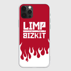 Чехол для iPhone 12 Pro Max с принтом Limp Bizkit , Силикон |  | Тематика изображения на принте: bizkit | limp | limp bizkit | music | rock | бизкиты | лимп бизкит | лимпы | липкие письки | музыка | рок