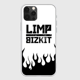 Чехол для iPhone 12 Pro Max с принтом Limp Bizkit , Силикон |  | bizkit | limp | limp bizkit | music | rock | бизкиты | лимп бизкит | лимпы | липкие письки | музыка | рок