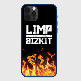 Чехол для iPhone 12 Pro с принтом Limp Bizkit  , силикон | область печати: задняя сторона чехла, без боковых панелей | bizkit | limp | limp bizkit | music | rock | бизкиты | лимп бизкит | лимпы | липкие письки | музыка | рок