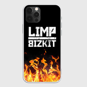 Чехол для iPhone 12 Pro Max с принтом Limp Bizkit , Силикон |  | bizkit | limp | limp bizkit | music | rock | бизкиты | лимп бизкит | лимпы | липкие письки | музыка | рок