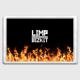 Магнит 45*70 с принтом Limp Bizkit  , Пластик | Размер: 78*52 мм; Размер печати: 70*45 | bizkit | limp | limp bizkit | music | rock | бизкиты | лимп бизкит | лимпы | липкие письки | музыка | рок