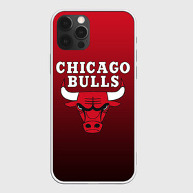 Чехол для iPhone 12 Pro с принтом CHICAGO BULLS , силикон | область печати: задняя сторона чехла, без боковых панелей | bulls | chicago | chicago bulls | nba | red bulls | usa | америка | быки | нба | сша | чикаго буллс