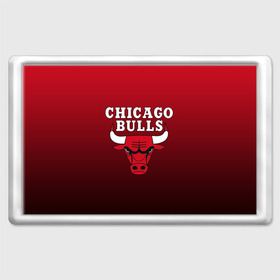 Магнит 45*70 с принтом CHICAGO BULLS , Пластик | Размер: 78*52 мм; Размер печати: 70*45 | bulls | chicago | chicago bulls | nba | red bulls | usa | америка | быки | нба | сша | чикаго буллс