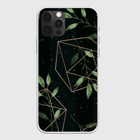 Чехол для iPhone 12 Pro Max с принтом Геометрия в природе , Силикон |  | Тематика изображения на принте: абстрактное | белое | ветви | ветвь | ветка | геометрические фигуры | желтое | зелёное | капли | листок | листья | природа | точки | чёрное