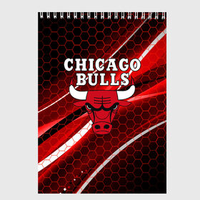 Скетчбук с принтом CHICAGO BULLS , 100% бумага
 | 48 листов, плотность листов — 100 г/м2, плотность картонной обложки — 250 г/м2. Листы скреплены сверху удобной пружинной спиралью | bulls | chicago | chicago bulls | nba | red bulls | usa | америка | быки | нба | сша | чикаго буллс