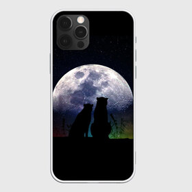 Чехол для iPhone 12 Pro Max с принтом Льбовь под луной , Силикон |  | волшебство ночи | котики | любовь | пара | романтика