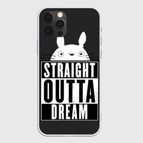 Чехол для iPhone 12 Pro Max с принтом Тоторо Straight outta dream , Силикон |  | Тематика изображения на принте: anime | hayao miyazaki | japanese | meme | miyazaki | piano | studio ghibli | tokyo | totoro | гибли | котобус | мой | сосед | сусуватари | тонари | тоторо | хаяо миядзаки