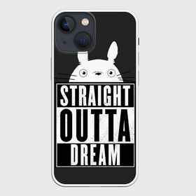 Чехол для iPhone 13 mini с принтом Тоторо Straight outta dream ,  |  | anime | hayao miyazaki | japanese | meme | miyazaki | piano | studio ghibli | tokyo | totoro | гибли | котобус | мой | сосед | сусуватари | тонари | тоторо | хаяо миядзаки