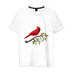 Мужская футболка хлопок с принтом Красный кардинал , 100% хлопок | прямой крой, круглый вырез горловины, длина до линии бедер, слегка спущенное плечо. | cardinalis cardinalis | красный кардинал | новогодняя птица | птица | птичка | рождественская птица