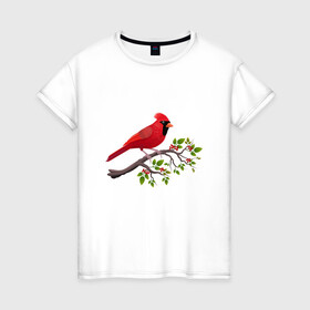 Женская футболка хлопок с принтом Красный кардинал , 100% хлопок | прямой крой, круглый вырез горловины, длина до линии бедер, слегка спущенное плечо | cardinalis cardinalis | красный кардинал | новогодняя птица | птица | птичка | рождественская птица