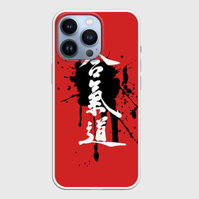 Чехол для iPhone 13 Pro с принтом Айкидо ,  |  | aikido | аикидо | айкидо | восточные единоборства | единоборства | морихей уэсиба