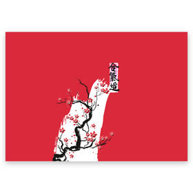 Поздравительная открытка с принтом Сакура Айкидо , 100% бумага | плотность бумаги 280 г/м2, матовая, на обратной стороне линовка и место для марки
 | Тематика изображения на принте: aikido | аикидо | айкидо | восточные единоборства | единоборства | морихей уэсиба