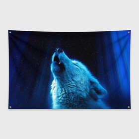 Флаг-баннер с принтом Волк воет на луну , 100% полиэстер | размер 67 х 109 см, плотность ткани — 95 г/м2; по краям флага есть четыре люверса для крепления | волк | животные | зверь | ночь | фото | хищник