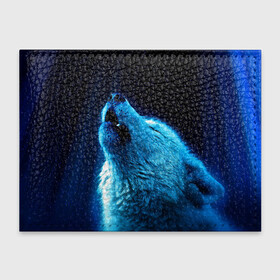 Обложка для студенческого билета с принтом Волк воет на луну , натуральная кожа | Размер: 11*8 см; Печать на всей внешней стороне | волк | животные | зверь | ночь | фото | хищник