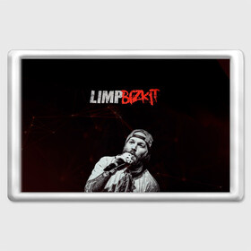 Магнит 45*70 с принтом Limp Bizkit , Пластик | Размер: 78*52 мм; Размер печати: 70*45 | limp bizkit | лимп бискит | музыка | рок