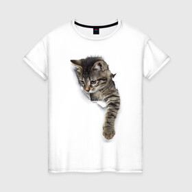 Женская футболка хлопок с принтом 3д кот , 100% хлопок | прямой крой, круглый вырез горловины, длина до линии бедер, слегка спущенное плечо | 3d | 3д | животные | кот | котик | кошка | прикольная картинка