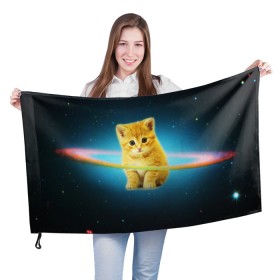 Флаг 3D с принтом Рыжий Котик , 100% полиэстер | плотность ткани — 95 г/м2, размер — 67 х 109 см. Принт наносится с одной стороны | cat | cats | животные | киса | киска | кот | котики | коты | котэ | кошка | природа