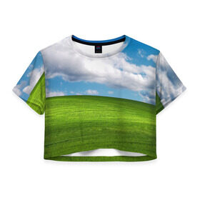 Женская футболка Crop-top 3D с принтом Заставка Windows , 100% полиэстер | круглая горловина, длина футболки до линии талии, рукава с отворотами | windows | винда | заставка | заставка windows | заставка виндовс | луг | поле