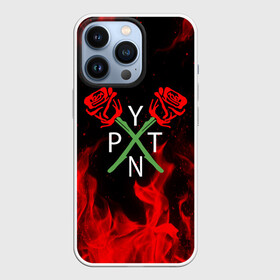 Чехол для iPhone 13 Pro с принтом PAYTON MOORMEIER   ТИКТОК ,  |  | payton moormeier | tiktok | блогер | пейтон | пейтон моормиер | тикток | тиктокер | ютубер