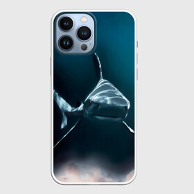 Чехол для iPhone 13 Pro Max с принтом акула ,  |  | fish | sea | shark | акула | водоросли | майки с морем | майки с прикольными рыбками | майки с рыбками | море | морская рыба | морские картинки | морские фото | прикольные рыбки | рыба | рыбка | хищная рыба