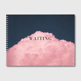 Альбом для рисования с принтом WAITING , 100% бумага
 | матовая бумага, плотность 200 мг. | cloud | nature | закат | надпись | облака | природа