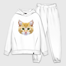 Мужской костюм хлопок OVERSIZE с принтом Кошечка ,  |  | animal | cat | cute | kitty | meow | друг | животные | киска | китти | кот | котенок | котик | кошечка | кошка | лев | леопард | милый | мур | мяу | пантера | питомец | рысь | тигр | улыбка