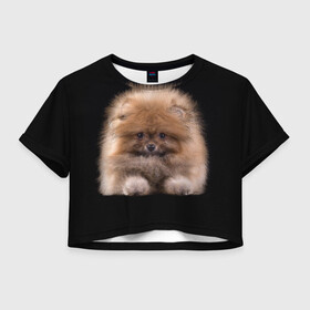 Женская футболка Crop-top 3D с принтом Рыжий Шпиц , 100% полиэстер | круглая горловина, длина футболки до линии талии, рукава с отворотами | детская | женская | купить | мужская | пес | рисунки щенков | рыжий | с принтом | с собаками | с собакой | со шпицами | со щенком | собака | собаки | шпиц | щенок