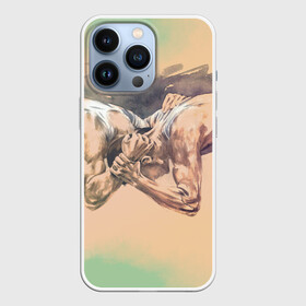 Чехол для iPhone 13 Pro с принтом Борьба ,  |  | Тематика изображения на принте: sport | wrestling | борьба | вольная | греко римская | единоборство | спорт
