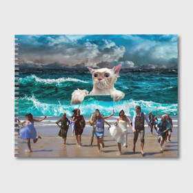 Альбом для рисования с принтом Морской Кошак , 100% бумага
 | матовая бумага, плотность 200 мг. | Тематика изображения на принте: cat | mem | mems | вода | волны | кот | котейка | котик | кошак | кошка | мем | мем с котом | мемы | мемы с котом | мокрый кот | море | морской кот | морской кошак | облака | океан | прикол | приколы | тучи | шторм