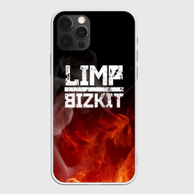 Чехол для iPhone 12 Pro Max с принтом LIMP BIZKIT , Силикон |  | Тематика изображения на принте: dj lethal | limp bizkit | rock | джон отто | лимп бизкит | майк смит | музыка | роб уотерс | рок | сэм риверс | терри бальзамо | уэс борланд | фред дёрст