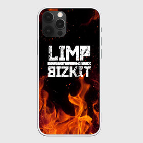 Чехол для iPhone 12 Pro Max с принтом LIMP BIZKIT , Силикон |  | dj lethal | limp bizkit | rock | джон отто | лимп бизкит | майк смит | музыка | роб уотерс | рок | сэм риверс | терри бальзамо | уэс борланд | фред дёрст