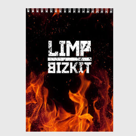 Скетчбук с принтом LIMP BIZKIT , 100% бумага
 | 48 листов, плотность листов — 100 г/м2, плотность картонной обложки — 250 г/м2. Листы скреплены сверху удобной пружинной спиралью | Тематика изображения на принте: dj lethal | limp bizkit | rock | джон отто | лимп бизкит | майк смит | музыка | роб уотерс | рок | сэм риверс | терри бальзамо | уэс борланд | фред дёрст