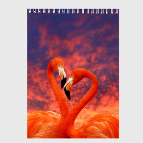 Скетчбук с принтом Flamingo Love , 100% бумага
 | 48 листов, плотность листов — 100 г/м2, плотность картонной обложки — 250 г/м2. Листы скреплены сверху удобной пружинной спиралью | 14 февраля | 8 марта | валентинов день | верность | влюбленность | влюбленные | вместе | вместе навсегда | девушке | женат | женский день | женский праздник | закат | замужем | кружка | любимая