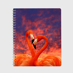 Тетрадь с принтом Flamingo Love , 100% бумага | 48 листов, плотность листов — 60 г/м2, плотность картонной обложки — 250 г/м2. Листы скреплены сбоку удобной пружинной спиралью. Уголки страниц и обложки скругленные. Цвет линий — светло-серый
 | Тематика изображения на принте: 14 февраля | 8 марта | валентинов день | верность | влюбленность | влюбленные | вместе | вместе навсегда | девушке | женат | женский день | женский праздник | закат | замужем | кружка | любимая