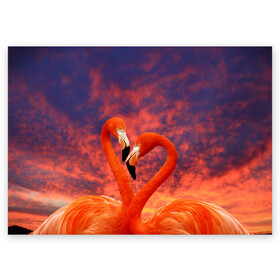 Поздравительная открытка с принтом Flamingo Love , 100% бумага | плотность бумаги 280 г/м2, матовая, на обратной стороне линовка и место для марки
 | 14 февраля | 8 марта | валентинов день | верность | влюбленность | влюбленные | вместе | вместе навсегда | девушке | женат | женский день | женский праздник | закат | замужем | кружка | любимая