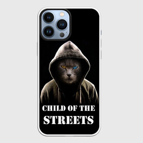 Чехол для iPhone 13 Pro Max с принтом Дитя улиц ,  |  | Тематика изображения на принте: cat | gangster | балахон | глаза | дитя улиц | кот | котик | крутой | крутой принт | принт | с надписью | топ | тренд