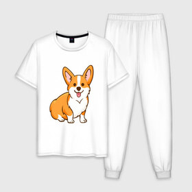 Мужская пижама хлопок с принтом Корги , 100% хлопок | брюки и футболка прямого кроя, без карманов, на брюках мягкая резинка на поясе и по низу штанин
 | dog. корги | dogs | весёлые собачки | милые собачки | прикольные собачки | собаки | собачки