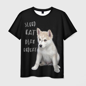Мужская футболка 3D с принтом Sleep Eat Play Repeat (Хаски) , 100% полиэфир | прямой крой, круглый вырез горловины, длина до линии бедер | Тематика изображения на принте: dog | husky | puppy | siberian husky | sleep eat play repeat | белая собака | белый щенок | ездовая собака | кружка | лайка | лайка щенок | подушка | сибирский хаски | собака | собачья жизнь | сумка | термокружка | фартук